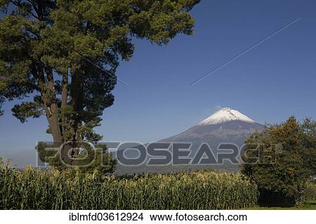 "Popocatepetl volcano near the city of Cholula, Puebla, Mexico, North America" View Large Photo Image Picture - "Popocatepetl volcano near the city of Cholula, Puebla, Mexico, North America". Fotosearch