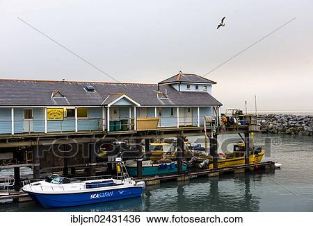 Stock Photograph - "Port of Ventnor, Isle of Wight, England, United Kingdom, Europe". Fotosearch