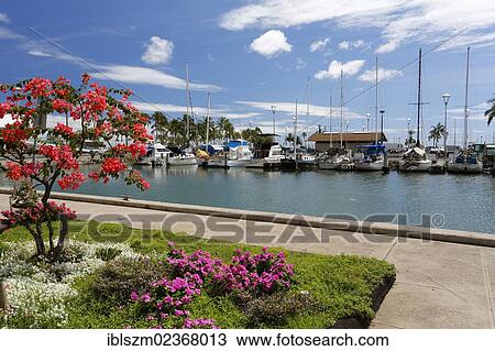 Stock Image - "Port of Waikiki, Honolulu, O'ahu, Hawai'i, USA, America". Fotosearch