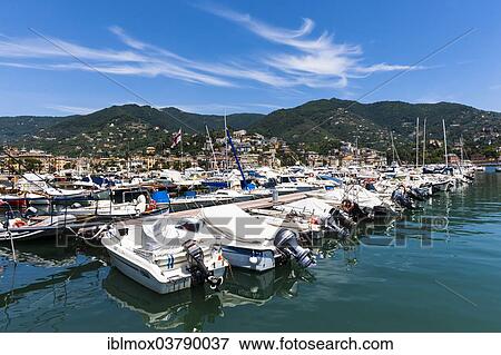 "Port, San Michele di Pagana district, Rapallo, Italian Riviera, Liguria, Italy, Europe" View Large Photo Image Stock Photo - "Port, San Michele di Pagana district, Rapallo, Italian Riviera, Liguria, Italy, Europe". Fotosearch