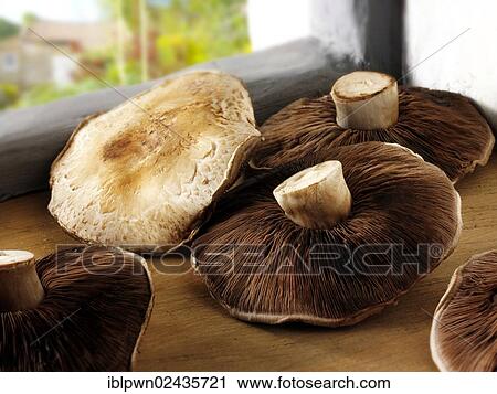 Stock Image - Portabella mushrooms. Fotosearch