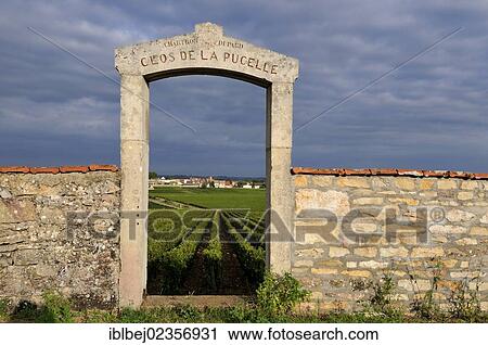 Stock Image - "Portal of the Clos de la Pucelle, Puligny Montrachet, Cote d'Or, Burgundy, France, Europe". Fotosearch