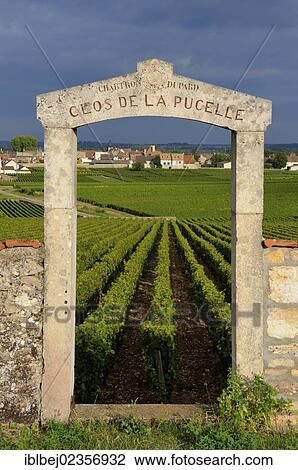 "Portal of the Clos de la Pucelle, Puligny Montrachet, Cote d'Or, Burgundy, France, Europe" View Large Photo Image Stock Image - "Portal of the Clos de la Pucelle, Puligny Montrachet, Cote d'Or, Burgundy, France, Europe". Fotosearch