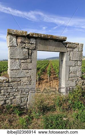 "Portal of vineyard in Burgundy near Beaune, Cote d'Or, France, Europe" View Large Photo Image Picture - "Portal of vineyard in Burgundy near Beaune, Cote d'Or, France, Europe". Fotosearch
