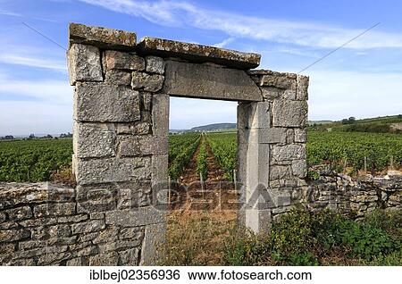 "Portal of vineyard in Burgundy near Beaune, Cote d'Or, France, Europe" View Large Photo Image Stock Photograph - "Portal of vineyard in Burgundy near Beaune, Cote d'Or, France, Europe". Fotosearch