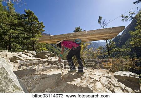 "Porter carrying heavy timber wood up an ascending track, Namche Bazar, Solukhumbu District, Sagarmatha Zone, Nepal, Asia" View Large Photo Image Stock Image - "Porter carrying heavy timber wood up an ascending track, Namche Bazar, Solukhumbu District, Sagarmatha Zone, Nepal, Asia". Fotosearch