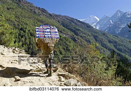 Stock Photograph - "Porter carrying more than 100 kg heavy load of beerbottles up an ascending track, Namche Bazar, Solukhumbu District, Sagarmatha Zone, Nepal, Asia". Fotosearch