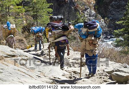 Stock Image - "Porters carrying heavy load up an ascending track above Namche Bazar (3. 440 m), the base for trekking and mountaineering in Solo Khumbu region, near Namche Bazar, Solukhumbu District, Sagarmatha Zone, Nepal, Asia". Fotosearch