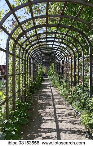 "Portico in the herb garden, Laeckoe Castle or Laeckoe Slott, Lidkoping, Vaestra Goetaland County, Sweden, Europe" View Large Photo Image Stock Photograph - "Portico in the herb garden, Laeckoe Castle or Laeckoe Slott, Lidkoping, Vaestra Goetaland County, Sweden, Europe". Fotosearch