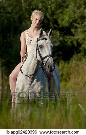 Portrait of a young woman on a Hanoverian horse in the water View Large Photo Image Stock Photograph - Portrait of a young woman on a Hanoverian horse in the water. Fotosearch