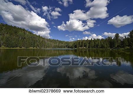 "Posey Lake, Dixie National Forest, Utah, Southwestern USA, USA" View Large Photo Image Stock Photo - "Posey Lake, Dixie National Forest, Utah, Southwestern USA, USA". Fotosearch