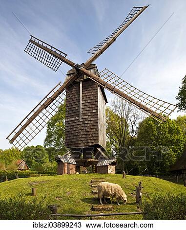 "Post Windmill in the Muhlenhof Open-air Museum, Munster, Munsterland, North Rhine-Westphalia, Germany, Europe" View Large Photo Image Stock Image - "Post Windmill in the Muhlenhof Open-air Museum, Munster, Munsterland, North Rhine-Westphalia, Germany, Europe". Fotosearch