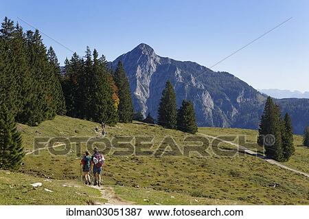 "Postalm alpine pasture with Rinnkogel Mountain, Postalm, Postalm, Strobl, Salzkammergut, Salzburg State, Austria, Europe" View Large Photo Image Stock Photo - "Postalm alpine pasture with Rinnkogel Mountain, Postalm, Postalm, Strobl, Salzkammergut, Salzburg State, Austria, Europe". Fotosearch