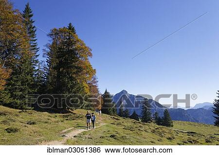 "Postalm alpine pasture with Rinnkogel Mountain, Postalm, Postalm, Strobl, Salzkammergut, Salzburg State, Austria, Europe" View Large Photo Image Stock Photograph - "Postalm alpine pasture with Rinnkogel Mountain, Postalm, Postalm, Strobl, Salzkammergut, Salzburg State, Austria, Europe". Fotosearch