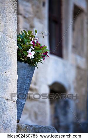 Stock Photography - "Pot flowers outside a house, Lacoste village, Vaucluse, Provence, France, Europe". Fotosearch