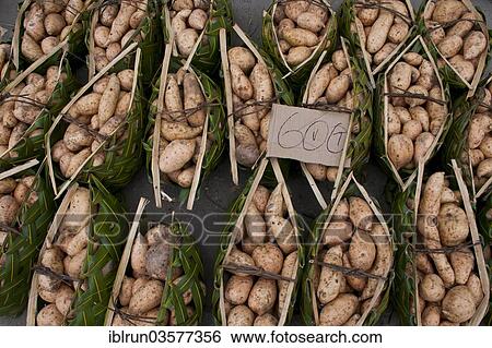 "Potatoes for sale at the market, Efate Island, Shefa Province, Vanuatu, Oceania" View Large Photo Image Stock Photograph - "Potatoes for sale at the market, Efate Island, Shefa Province, Vanuatu, Oceania". Fotosearch