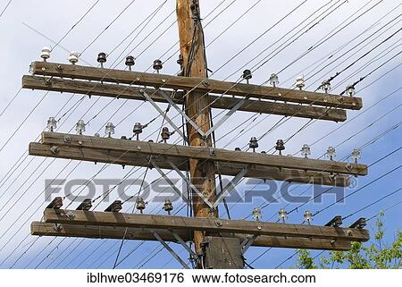 "Power pole, electricity pylon, on State Route 375, Nevada, United States, North America" View Large Photo Image Stock Photograph - "Power pole, electricity pylon, on State Route 375, Nevada, United States, North America". Fotosearch