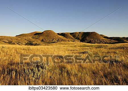 "Prairie landscape in the evening light, Grasslands Nationalpark, Saskatchewan Province, Canada, North America" View Large Photo Image Stock Image - "Prairie landscape in the evening light, Grasslands Nationalpark, Saskatchewan Province, Canada, North America". Fotosearch