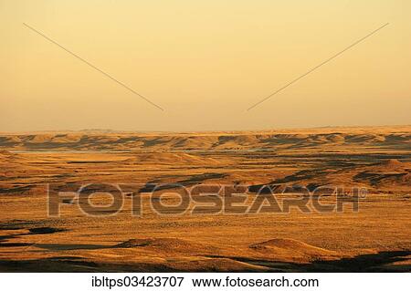 "Prairie landscape in the evening light, Saskatchewan Province, Canada, North America" View Large Photo Image Stock Photo - "Prairie landscape in the evening light, Saskatchewan Province, Canada, North America". Fotosearch
