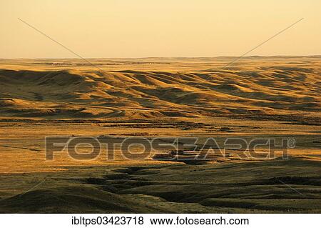 Stock Photo - "Prairie landscape in the evening light, Saskatchewan Province, Canada, North America". Fotosearch