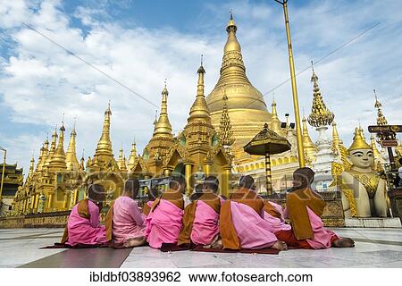 "Praying novices or nuns, golden main stupa, chedi, Shwedagon Pagoda, Singuttara Hill, Yangon or Rangoon, Yangon Region, Myanmar, Asia" View Large Photo Image Stock Image - "Praying novices or nuns, golden main stupa, chedi, Shwedagon Pagoda, Singuttara Hill, Yangon or Rangoon, Yangon Region, Myanmar, Asia". Fotosearch