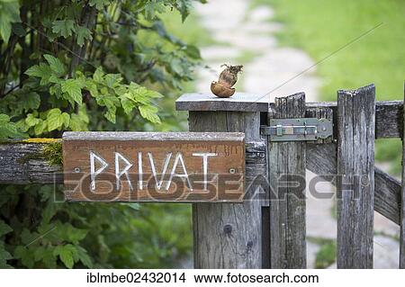 Picture - "Privat"""" sign on the fence of a plot of land at Weissensee lake, Carinthia, Austria, Europe". Fotosearch