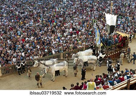 "Procession in historical costumes, oxen-cart with a portrait of the Madonna, Palio di Siena, Piazza del Campo, from Palazzo Pubblico, historic center, Siena, Tuscany, Italy, Europe" View Large Photo Image Stock Image - "Procession in historical costumes, oxen-cart with a portrait of the Madonna, Palio di Siena, Piazza del Campo, from Palazzo Pubblico, historic center, Siena, Tuscany, Italy, Europe". Fotosearch