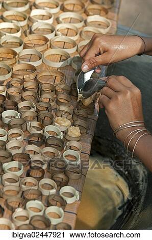 "Production of traditional palm sugar candies, caramelized palm sugar is packed into small moulds made of strips of palm leaves, Siem Reap, Cambodia, Southeast Asia, Asia" View Large Photo Image Stock Image - "Production of traditional palm sugar candies, caramelized palm sugar is packed into small moulds made of strips of palm leaves, Siem Reap, Cambodia, Southeast Asia, Asia". Fotosearch