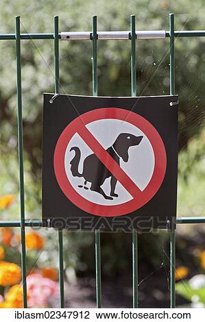 "Prohibition sign, no dog dirt, garden, fence" View Large Photo Image Stock Image - "Prohibition sign, no dog dirt, garden, fence". Fotosearch