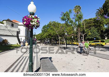 Picture - "Promenade Av. Arriaga in the historic town centre of Funchal, Santa Luzia, Funchal, Madeira, Portugal, Europe". Fotosearch