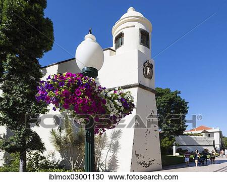 Stock Image - "Promenade Av. Arriaga in the historic town centre of Funchal, Santa Luzia, Funchal, Madeira, Portugal, Europe". Fotosearch