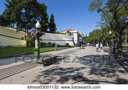 "Promenade Av. Arriaga in the historic town centre of Funchal, Santa Luzia, Funchal, Madeira, Portugal, Europe" View Large Photo Image Stock Image - "Promenade Av. Arriaga in the historic town centre of Funchal, Santa Luzia, Funchal, Madeira, Portugal, Europe". Fotosearch