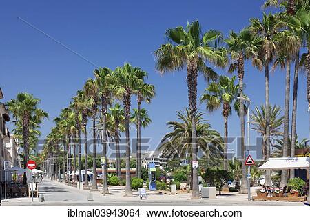 "Promenade lined with palm trees, town beach of Platja d'es Port, Colonia de Sant Jordi, South Coast, Majorca, Balearic Islands, Spain, Europe" View Large Photo Image Picture - "Promenade lined with palm trees, town beach of Platja d'es Port, Colonia de Sant Jordi, South Coast, Majorca, Balearic Islands, Spain, Europe". Fotosearch