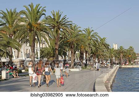 "Promenade, Split, Dalmatia, Croatia, Europe" View Large Photo Image Stock Photography - "Promenade, Split, Dalmatia, Croatia, Europe". Fotosearch