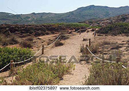 "Protection of nature, trail to Cala Pregonda bay, Nordmenorca, Menorca, Balearic Islands, Spain, Southern Europe, Europe" View Large Photo Image Stock Photo - "Protection of nature, trail to Cala Pregonda bay, Nordmenorca, Menorca, Balearic Islands, Spain, Southern Europe, Europe". Fotosearch