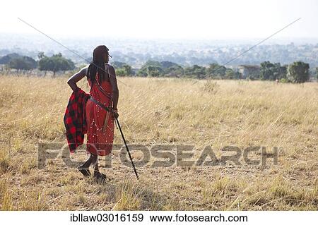 "Proud Maasai warrior wearing traditional dress looking out over the savannah, Massai Mara, Distrikt Narok, Serengeti, Rift Valley province, Kenya, Africa" View Large Photo Image Stock Photo - "Proud Maasai warrior wearing traditional dress looking out over the savannah, Massai Mara, Distrikt Narok, Serengeti, Rift Valley province, Kenya, Africa". Fotosearch