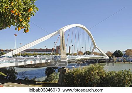 "Puente de la Barqueta, bridge over the Guadalquivir river, Seville, Andalusia, Spain, Europe" View Large Photo Image Stock Photo - "Puente de la Barqueta, bridge over the Guadalquivir river, Seville, Andalusia, Spain, Europe". Fotosearch