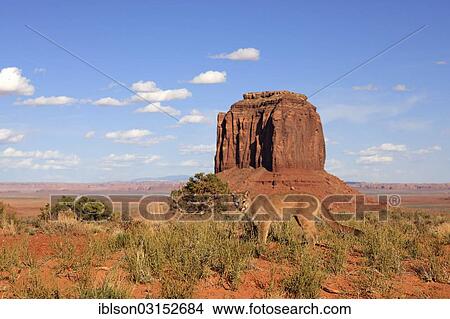 "Puma, Cougar or Mountain Lion (Puma concolor), adult, captive, characteristic rock formations at the rear, Monument Valley, Utah, United States, North America" View Large Photo Image Picture - "Puma, Cougar or Mountain Lion (Puma concolor), adult, captive, characteristic rock formations at the rear, Monument Valley, Utah, United States, North America". Fotosearch