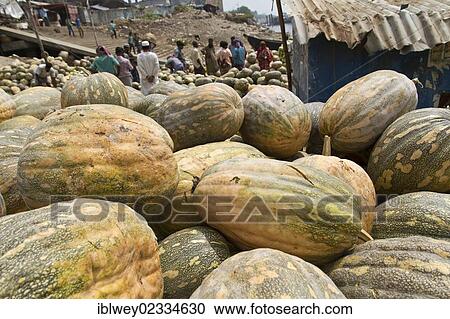 Stock Image - "Pumpkins on a pile on the banks of the Buriganga river, Dhaka, Bangladesh, South Asia, Asia". Fotosearch