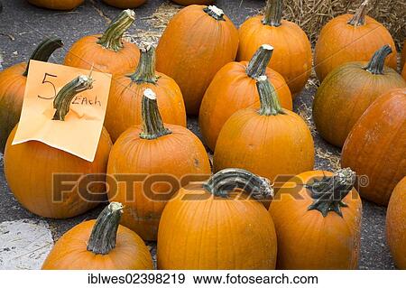 "Pumpkins on sale at Eastern Market, a large farmers market near downtown Detroit, Detroit, Michigan, USA" View Large Photo Image Stock Photo - "Pumpkins on sale at Eastern Market, a large farmers market near downtown Detroit, Detroit, Michigan, USA". Fotosearch