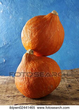 Stock Photography - Pumpkins. Fotosearch