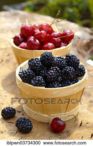 Punnets of blackberries and cherries View Large Photo Image Stock Image - Punnets of blackberries and cherries. Fotosearch
