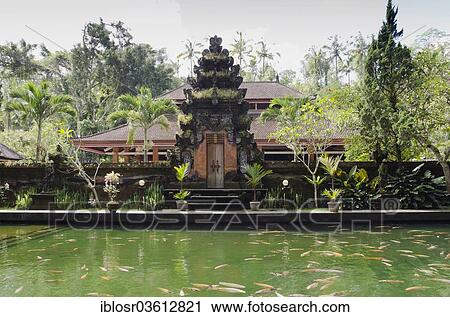 Stock Image - "Pura Tirta Empul temple, spring sanctuary, koi fish pond, Tampaksiring, Bali, Indonesia, Asia". Fotosearch