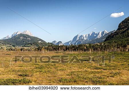 "Purgschachen Moor in autumn, Grosser Buchstein, Hochtorgruppe, Planspitze, Hochtor, Grosser Odstein, Ardning, Styria, Austria, Europe" View Large Photo Image Stock Image - "Purgschachen Moor in autumn, Grosser Buchstein, Hochtorgruppe, Planspitze, Hochtor, Grosser Odstein, Ardning, Styria, Austria, Europe". Fotosearch