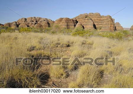 "Purnululu National Park, Bungle Bungles, Piccaninny Creek Walk, Purnululu Nationalpark, Kimberley Plateau, Western Australia, Australia, Oceania" View Large Photo Image Stock Image - "Purnululu National Park, Bungle Bungles, Piccaninny Creek Walk, Purnululu Nationalpark, Kimberley Plateau, Western Australia, Australia, Oceania". Fotosearch