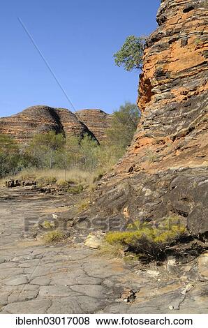 "Purnululu National Park, Bungle Bungles, Piccaninny Creek Walk, Purnululu Nationalpark, Kimberley Plateau, Western Australia, Australia, Oceania" View Large Photo Image Stock Photo - "Purnululu National Park, Bungle Bungles, Piccaninny Creek Walk, Purnululu Nationalpark, Kimberley Plateau, Western Australia, Australia, Oceania". Fotosearch