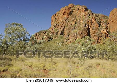 "Purnululu National Park, Bungle Bungles, Echidna Chasm, Purnululu Nationalpark, Kimberley Plateau, Western Australia, Australia, Oceania" View Large Photo Image Stock Photo - "Purnululu National Park, Bungle Bungles, Echidna Chasm, Purnululu Nationalpark, Kimberley Plateau, Western Australia, Australia, Oceania". Fotosearch