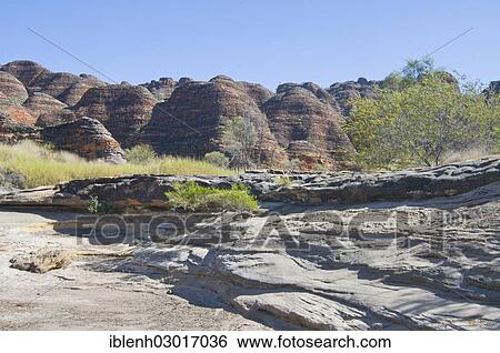 "Purnululu National Park, Bungle Bungles, Purnululu Nationalpark, Kimberley Plateau, Western Australia, Australia, Oceania" View Large Photo Image Stock Photograph - "Purnululu National Park, Bungle Bungles, Purnululu Nationalpark, Kimberley Plateau, Western Australia, Australia, Oceania". Fotosearch