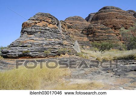 "Purnululu National Park, Bungle Bungles, Purnululu Nationalpark, Kimberley Plateau, Western Australia, Australia, Oceania" View Large Photo Image Stock Photograph - "Purnululu National Park, Bungle Bungles, Purnululu Nationalpark, Kimberley Plateau, Western Australia, Australia, Oceania". Fotosearch