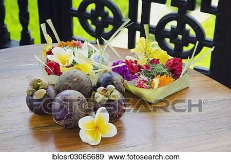 "Purple mangosteen fruits (Garcinia mangostana) with frangipani flowers, Ubud, Bali, Indonesia, Asia" View Large Photo Image Stock Photo - "Purple mangosteen fruits (Garcinia mangostana) with frangipani flowers, Ubud, Bali, Indonesia, Asia". Fotosearch